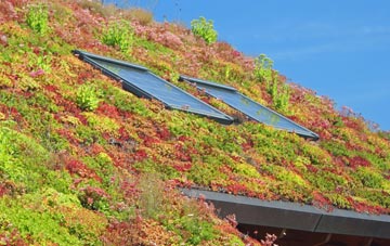 Rowleys Green living roof systems